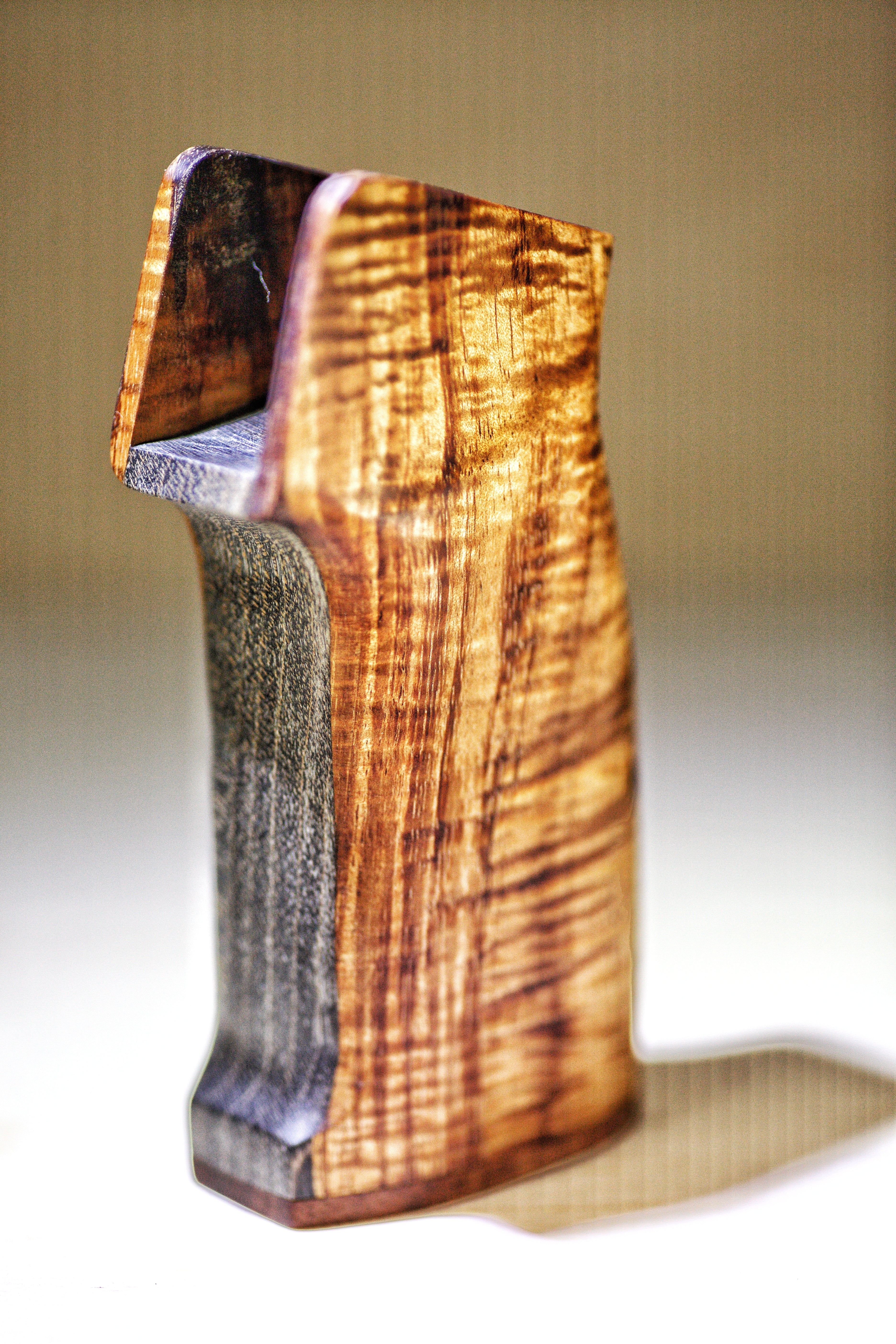 Vitae Precision | Stabilized Wood AEB Grips & Handstop Set - Image 11
