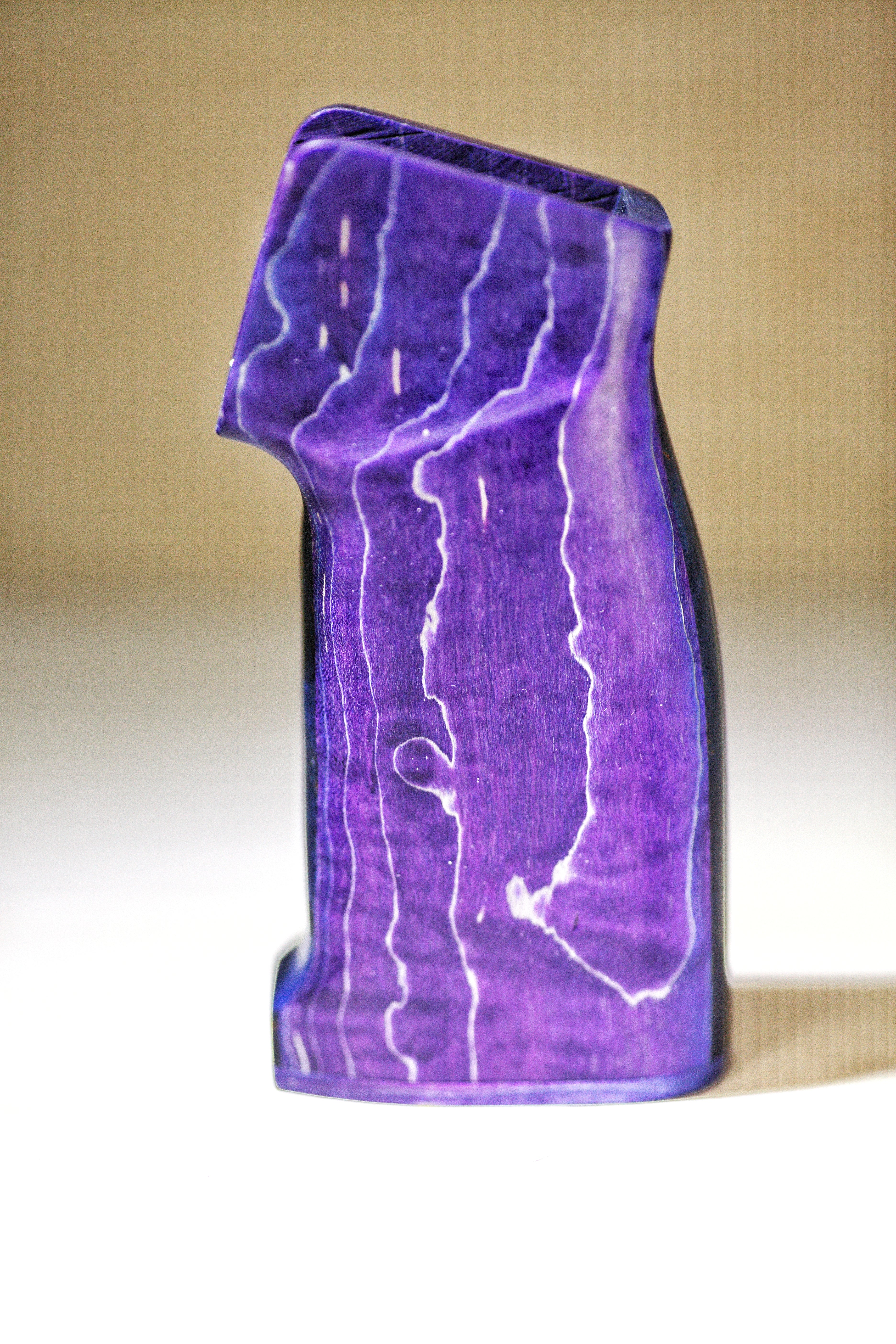 Vitae Precision | Stabilized Wood AEB Grips & Handstop Set - Image 18